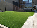 Woodson YMCA Turf